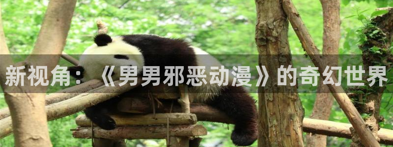 omofun免费看动漫：新视角：《男男邪恶动漫》的奇幻世界