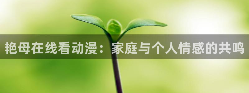 omofun动漫动画：艳母在线看动漫：家庭与个人情感的共鸣