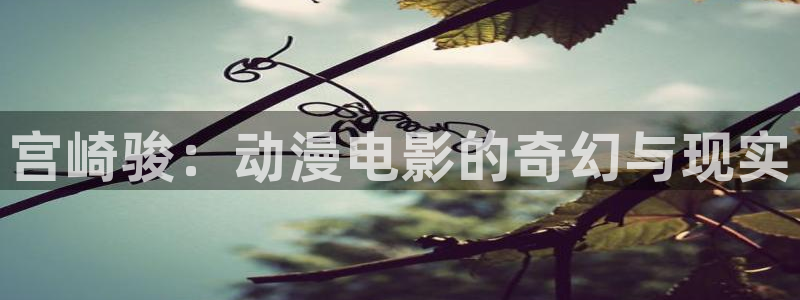 omofun动漫网：宫崎骏：动漫电影的奇幻与现实