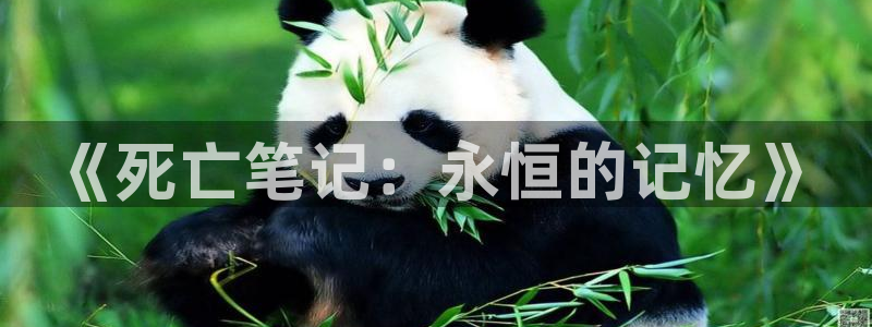 omofun动漫官网入口：《死亡笔记：永恒的记忆》