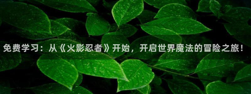 omofun动漫app下载：免费学习：从《火影忍者》开始，开启世界魔法的冒险之旅！