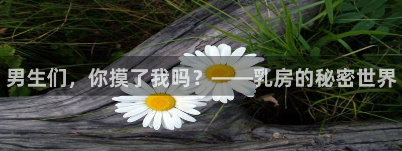 omofun动漫官网在线观看：男生们，你摸了我吗？——乳房的秘密世界