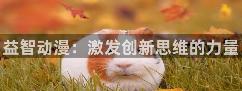 omofun动漫网在线观看：益智动漫：激发创新思维的力量